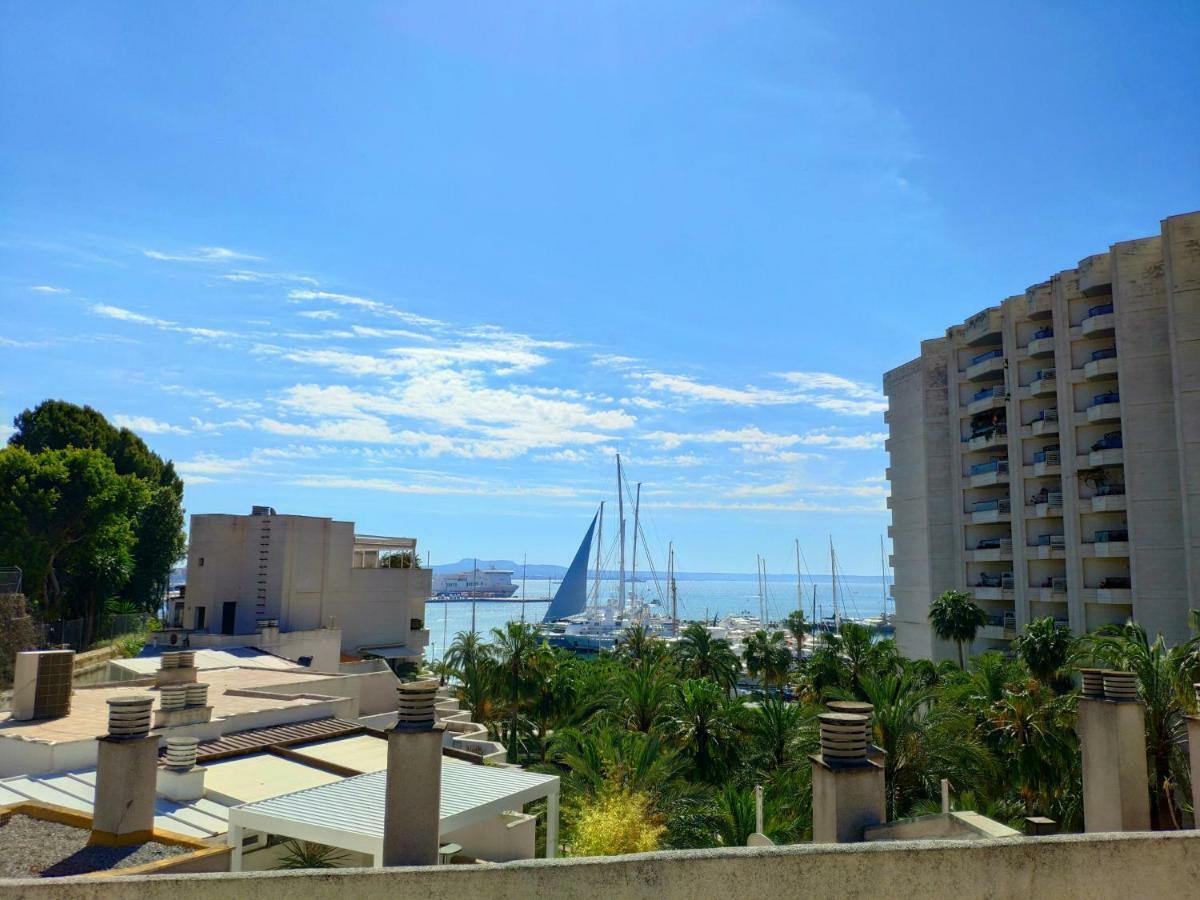 Sanofi Appartement *